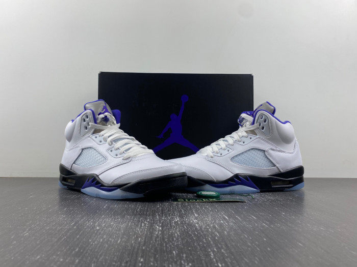 Air Jordan5 CONCORD DD0587-141