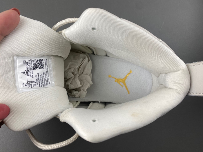 Air Jordan 12 “PhanT0m” FD9101-007