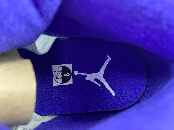 Air Jordan5 CONCORD DD0587-141