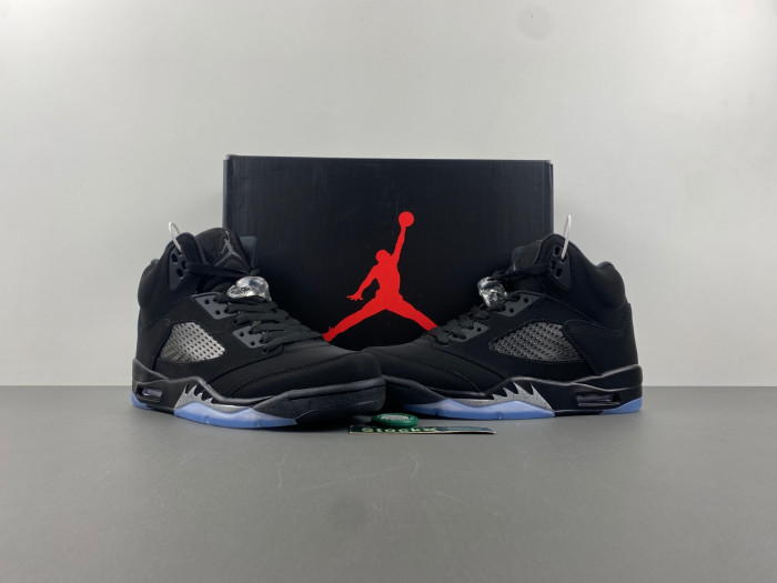 Air Jordan 5 "Black Cat" AJ50409