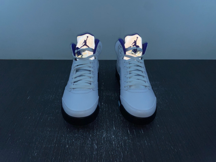 Air Jordan5 CONCORD DD0587-141