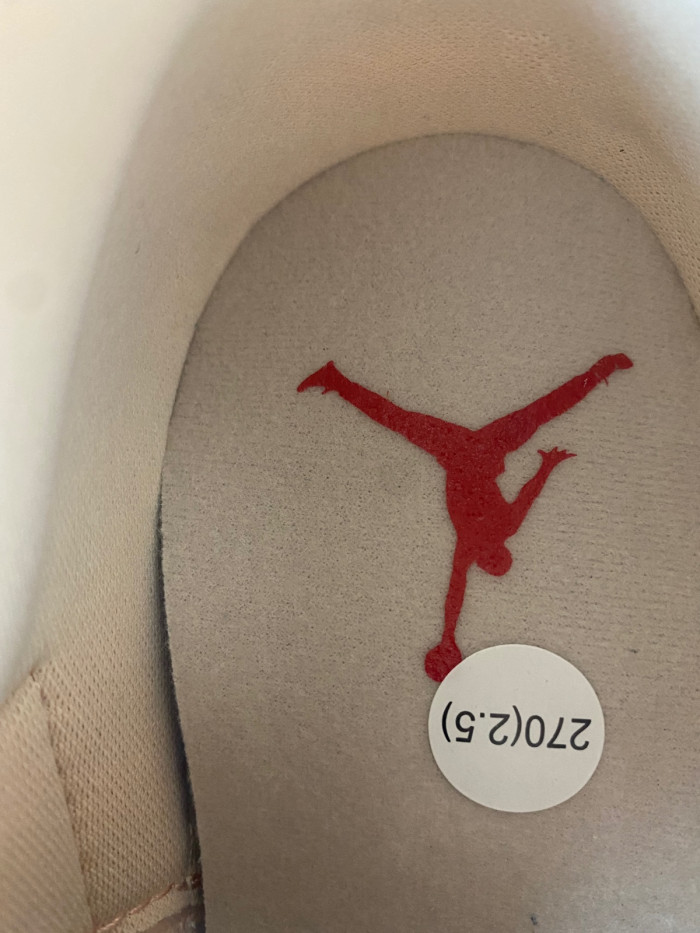 Air Jordan 3 WMNS HJ0178-600