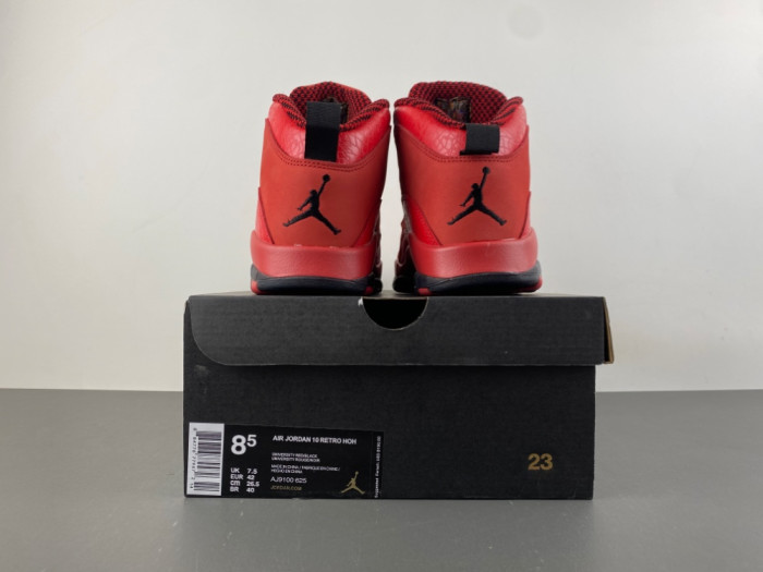 Steve Wiebe x Air Jordan 10 “HOH” AJ9100-625