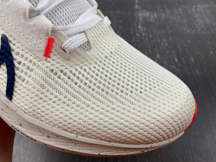 Nike Air Zoom Pegasus 40 WIDE DV7480-100