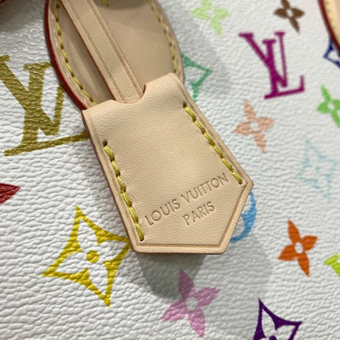 LV ONTHEGO BAG