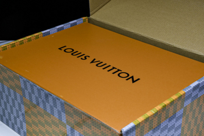 L0vis Vvtt0n SKATE SNEAKER
